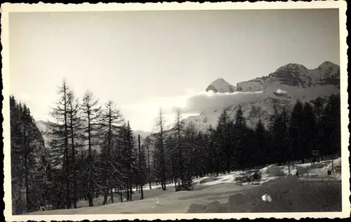 Foto Ak Cortina d'Ampezzo Veneto, Wald im Winter, Blick auf Bergen