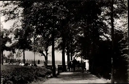 Ak Dordrecht Südholland Niederlande, Boonenpad omstreeks 1920