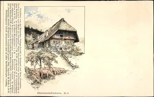 Litho Schwarzwald Postkarten Nr. 3, Schwarzwaldhaus, Schafherde