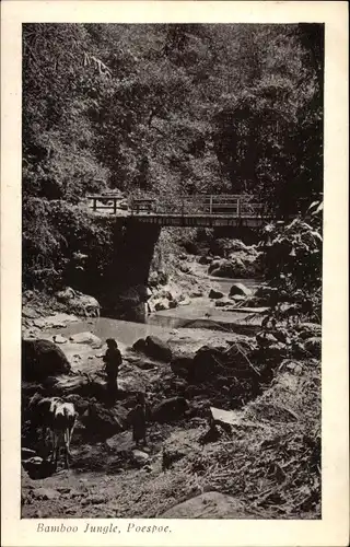 Ak Indonesien, Bamboo Jungle, Poespoe, Brücke, Fluss