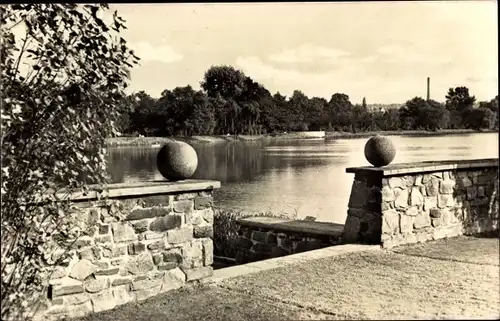 Ak Zwickau in Sachsen, Blick auf den Schwanenteich vom VVN-Denkmal