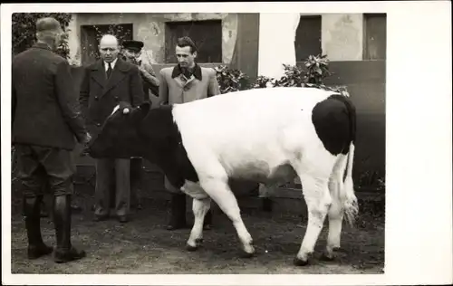 Foto Ak Callenberg in Sachsen, vier Männer und eine Kuh