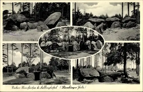 Ak Fallingbostel Lüneburger Heide, Sieben Steinhäuser, Totenkult, Wald