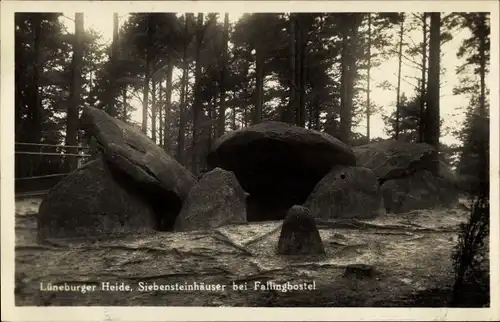 Ak Fallingbostel Lüneburger Heide, Sieben Steinhäuser, Totenkult, Wald