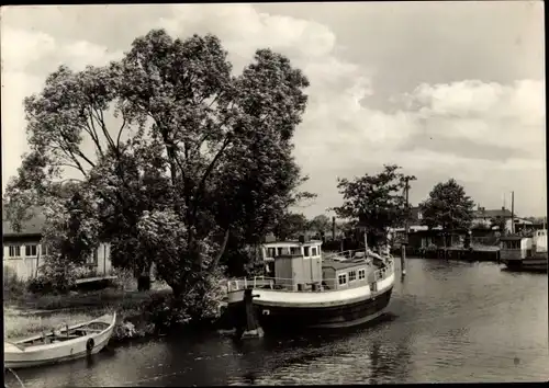 Ak Eggesin in Mecklenburg Vorpommern, An der Randow, Boote, Baum