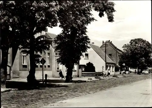 Ak Ferdinandshof in Vorpommern, Bahnhofstraße, Häuser, Bäume