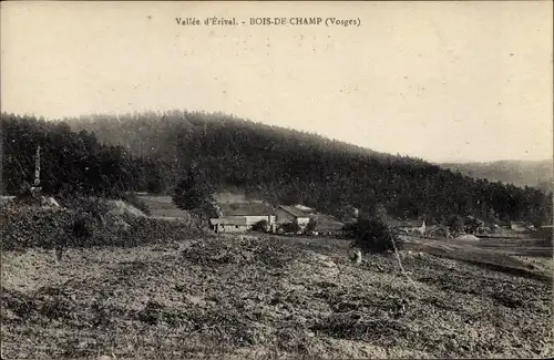 Ak Bois de Champ Vosges, Vallee d'Erival