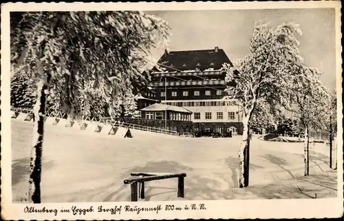 Ak Altenberg Erzgebirge, Ortspartie