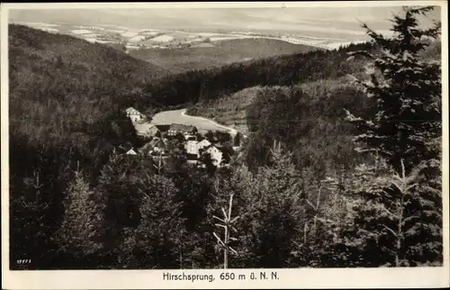 Ak Hirschsprung Altenberg Osterzgebirge, Panorama vom Ort