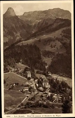 Ak Veytaux Kanton Waadt, Rochers de Naye, Panorama