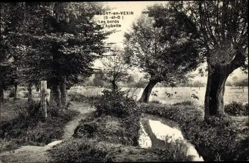 Ak Magny en Vexin Val-d’Oise, Les bords l'Aubette