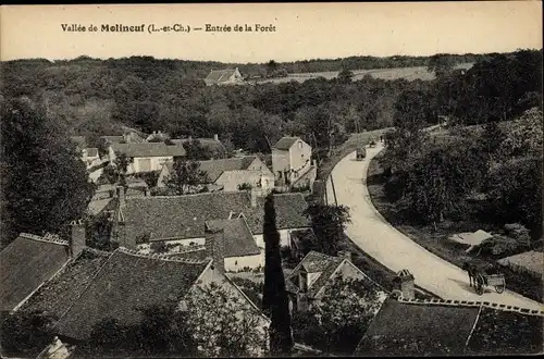 Ak Molineuf Loir et Cher, Entrée de la Forêt