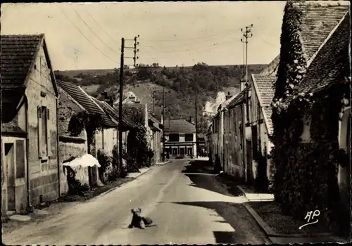 Ak Moisson sur Seine Yvelines, Une rue, Chien