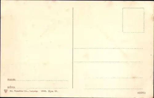 Ak Heemstede Nordholland Niederlande, Hyacinthenvelden, Hyazinthenfeld, Blumen