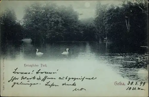 Mondschein Ak Gotha in Thüringen, Herzoglicher Park, Schwäne