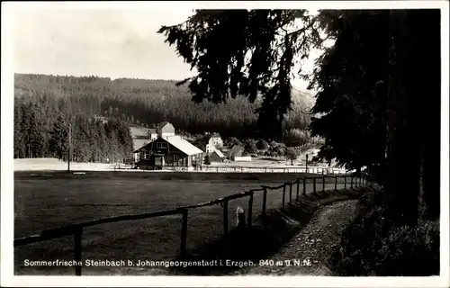 Ak Steinbach Johanngeorgenstadt im Erzgebirge, Gasthof Ernst