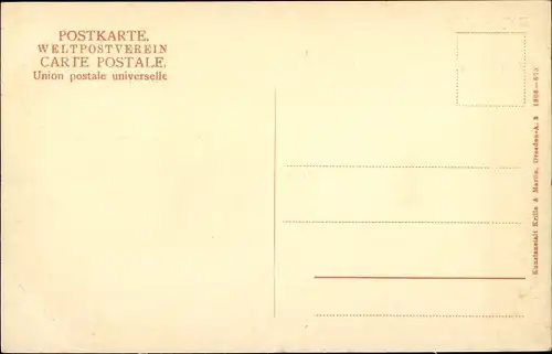 Ak Bad Schandau Sächsische Schweiz, Teilansicht, Dampfer