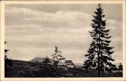 Ak Geising Altenberg im Erzgebirge, Berghof Raupennest