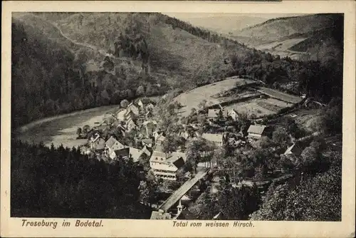 Ak Treseburg Thale im Harz, Total vom weißen Hirsch