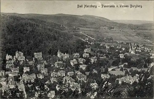 Ak Bad Harzburg am Harz, Panorama v. kleinen Burgberg