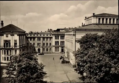 Ak Halle Saale, Martin Luther Universität, Bäume