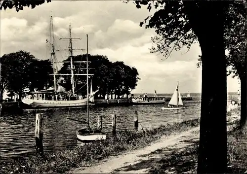 Ak Wieck Eldena Greifswald, Uferpartie mit Schiffen