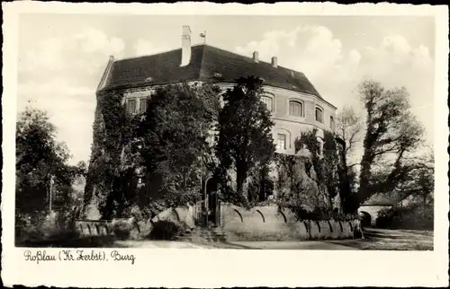 Ak Roßlau an der Elbe Sachsen Anhalt, Burg