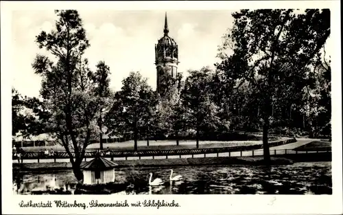 Ak Lutherstadt Wittenberg, Schwanenteich mit Schlosskirche