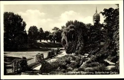 Ak Lutherstadt Wittenberg, Botanischer Garten