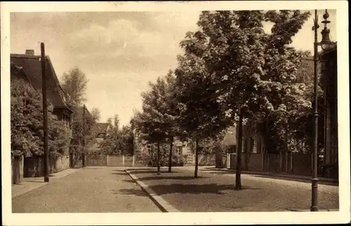 Ak Glauchau in Sachsen, Grüner Winkel