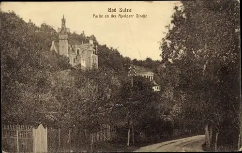 Ak Bad Sulza in Thüringen, Partie an der Apoldaer Straße