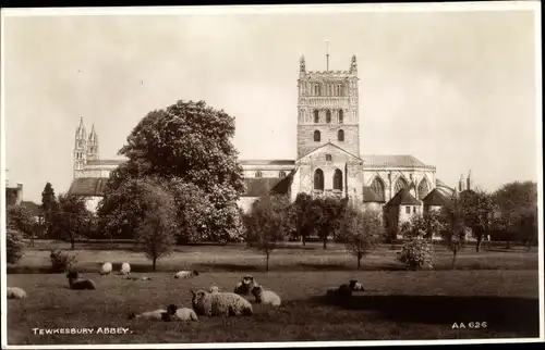 Ak Tewkesbury Gloucestershire England, Abbey, sheep