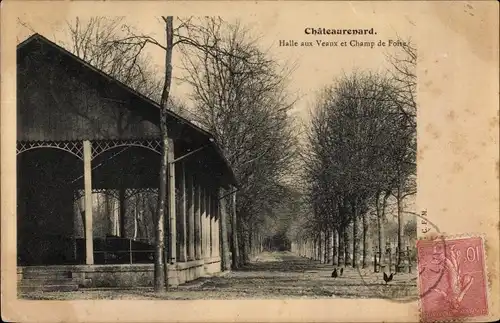 Ak Chateaurenard Loiret, Halle aux Veaux, Champ de Foire