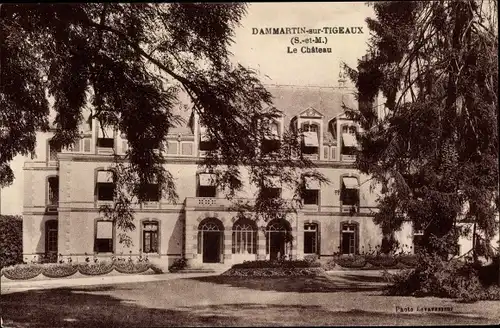 Ak Dammartin sur Tigeaux Seine et Marne, Le Chateau