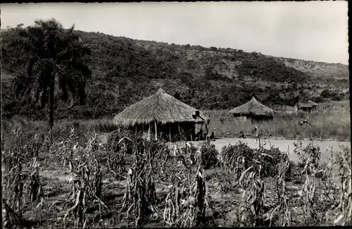 Ak Congo-Belge DR Kongo Zaire, Huttes indigenes