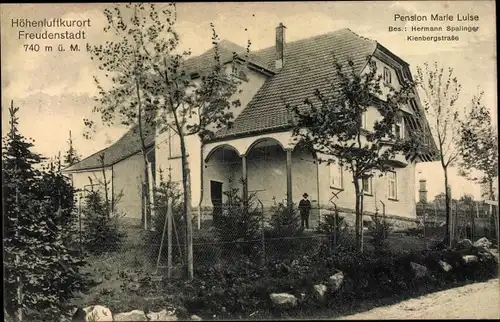 Ak Freudenstadt im Nordschwarzwald, Pension Marie Luise