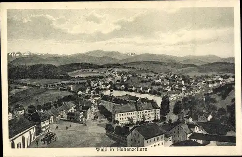 Ak Wald Hohenzollern, Panorama