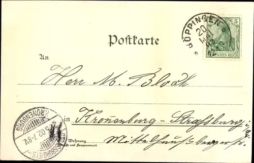 Litho Göppingen in Württemberg, Gesamtansicht