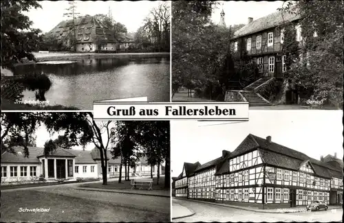 Ak Fallersleben Wolfsburg Niedersachsen, Schlosspark. Schloss, Hoffmann Haus, Schwefelbad