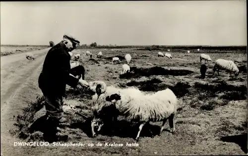 Ak Bauer, Schaf, Dwingeloo, Schapherder op de Kralose heide