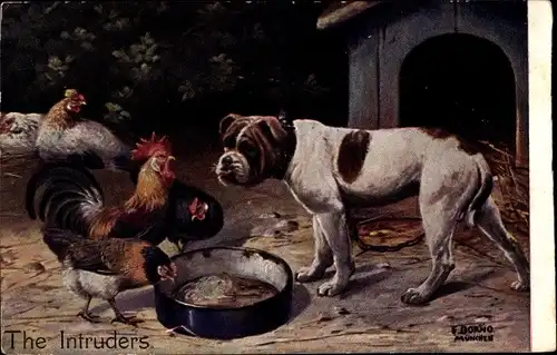 Künstler Ak Dorno, E., The Intruders, Hund vor der Hundehütte, Hahn, Hühner