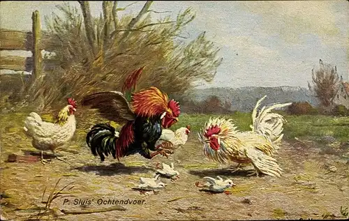 Künstler Ak Mesmer, C., Hühner-Kampf