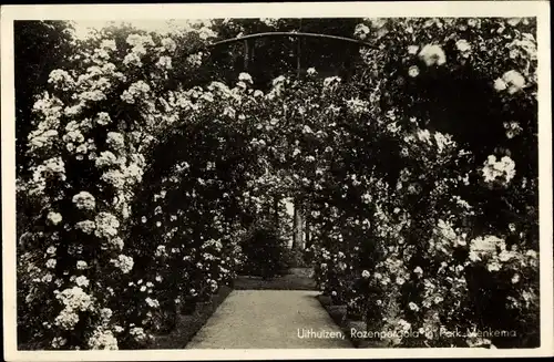 Ak Uithuizen Groningen, Park Menkema, Rosen Pergola