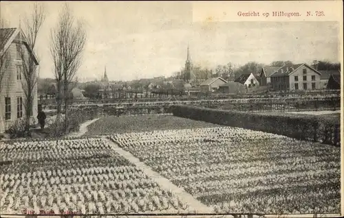 Ak Hillegom Südholland Niederlande, Gezicht op Hillegom, Blumenfelder