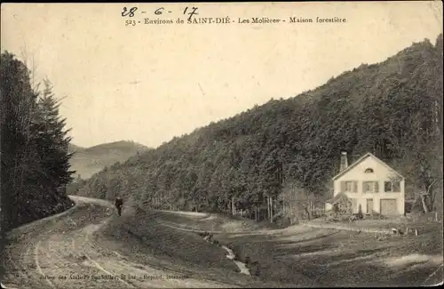 Ak Saint Dié des Vosges, Les Molieres, Maison Forestiere