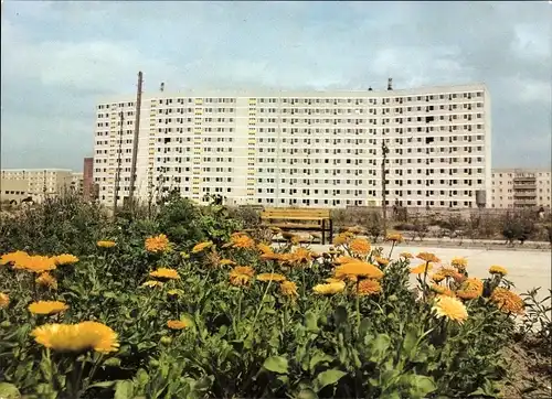 Ak Neubrandenburg in Mecklenburg Vorpommern, Wohnhochhäuser in der Oststadt