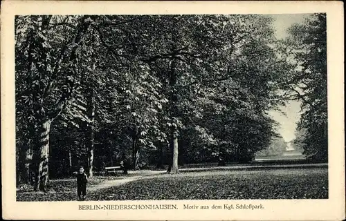 Ak Berlin Pankow Niederschönhausen, Motiv aus dem Königlichen Schlosspark