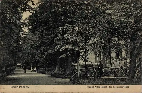 Ak Berlin Pankow, Hauptallee nach der Strauchwiese