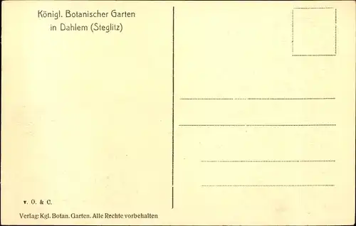 Ak Berlin Zehlendorf Dahlem, Großes Tropenhaus, Botanischer Garten