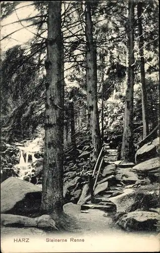 Ak Bad Harzburg am Harz, Steinerne Renne